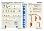 big_MR-BI-02-Podstawy-genetyki---chromosomy-w-komorce-czlowieka.jpg