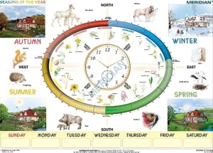 Seasons of the year - ścienna plansza dydaktyczna 160x120