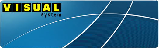 Visual System
